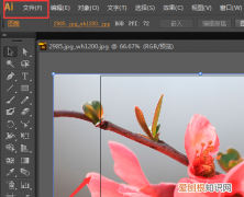 ai需要咋地才能裁剪，在ai中怎么裁去多余的部分图片