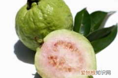 碱性水果有哪些品种，芭乐凉性水果还是热性