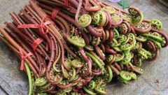 蕨菜的做法大全家常炒菜