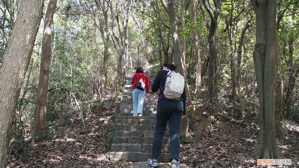 大清谷泰康养老社区具体地址