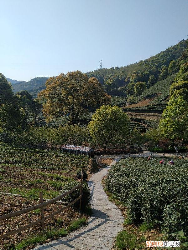 大清谷泰康养老社区具体地址