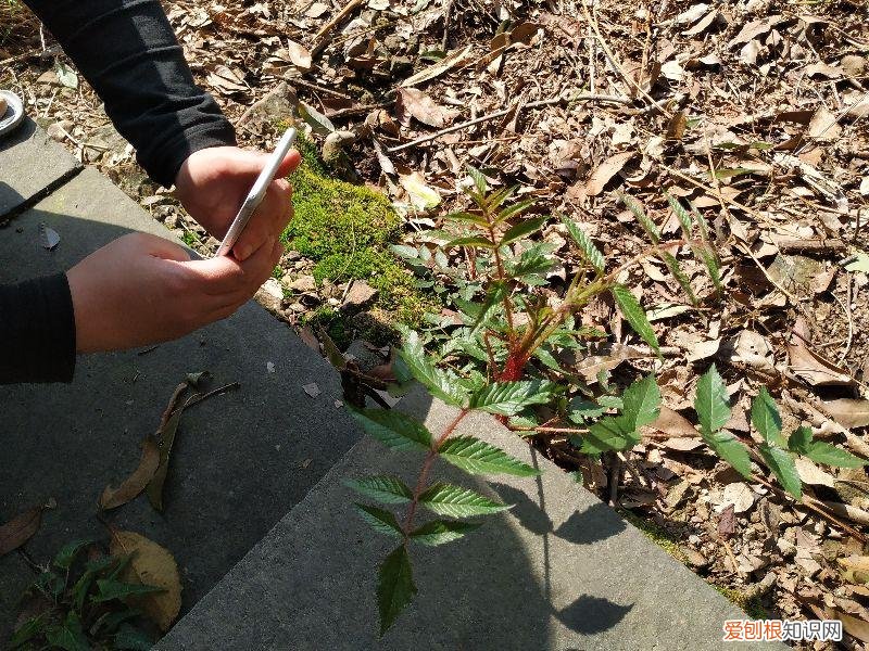 大清谷泰康养老社区具体地址