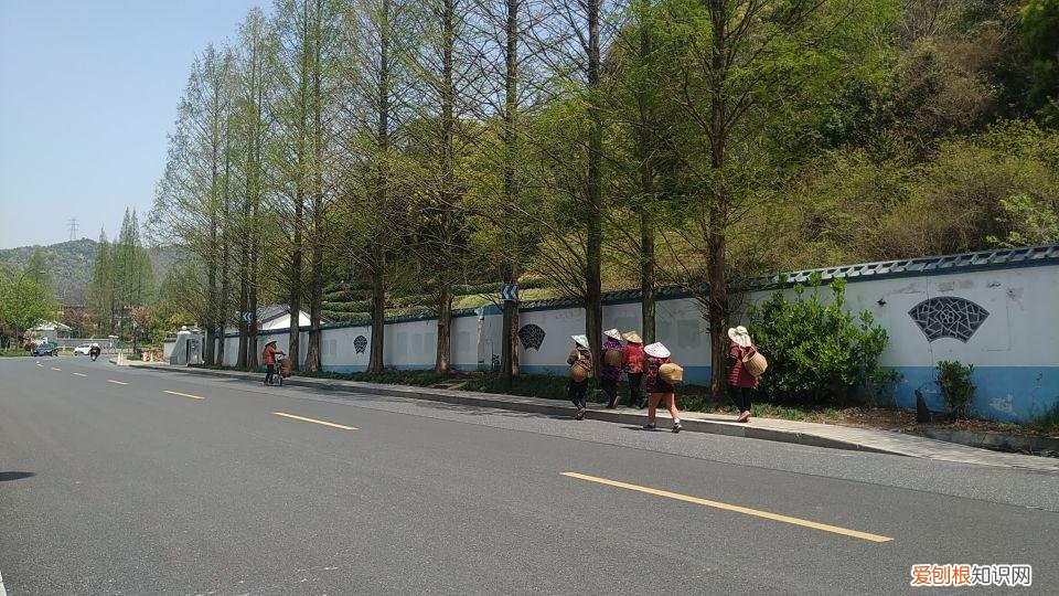 大清谷泰康养老社区具体地址