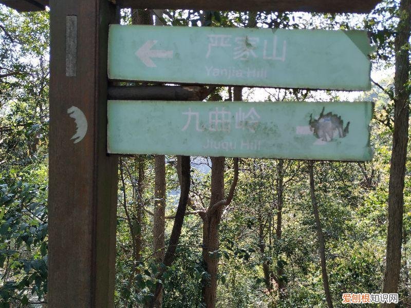 大清谷泰康养老社区具体地址