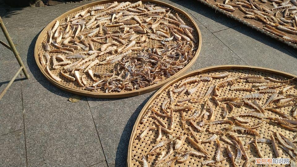 大清谷泰康养老社区具体地址