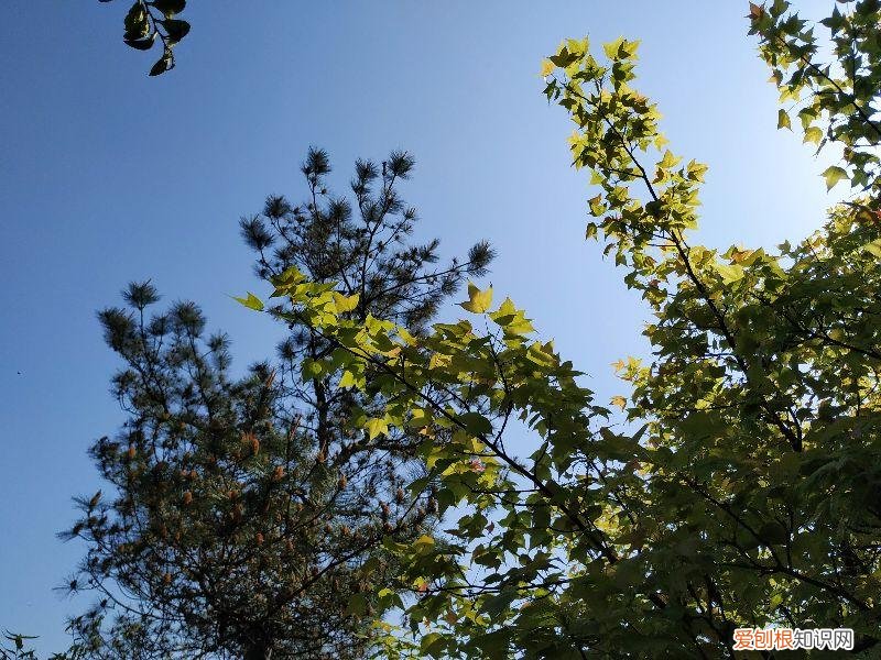 大清谷泰康养老社区具体地址