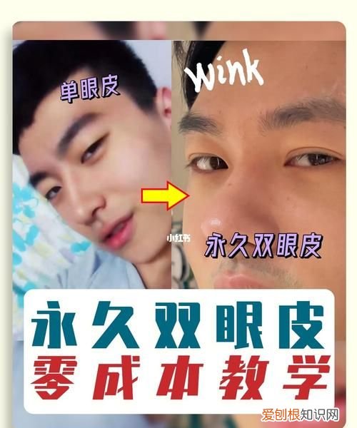 复制成双是永久的吗，dna分子复制是一个什么的过程