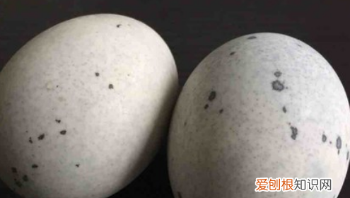 姜汁松花蛋怎么做好吃，姜汁松花蛋的酱汁怎么调