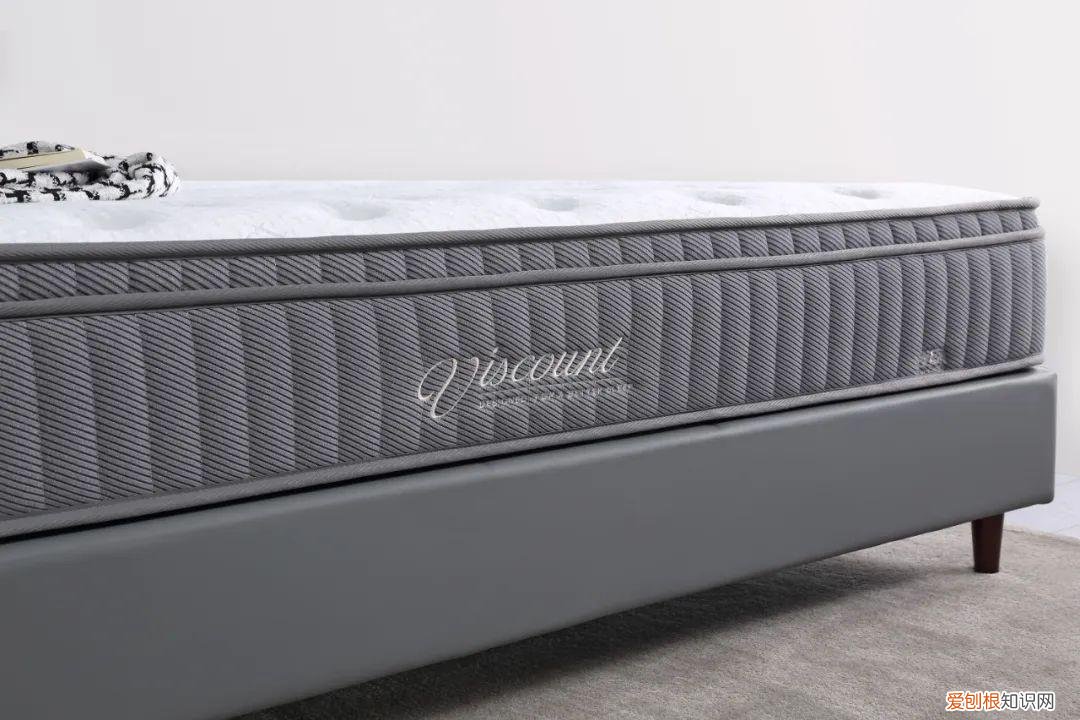 梦中情猫原抖音视频？