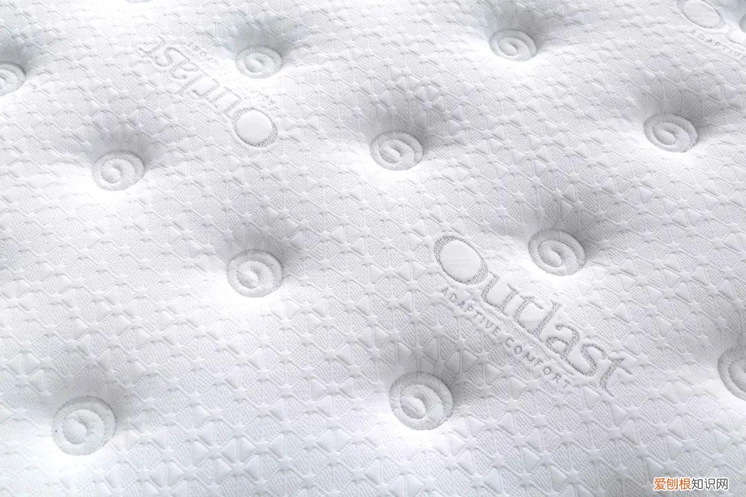 梦中情猫原抖音视频？