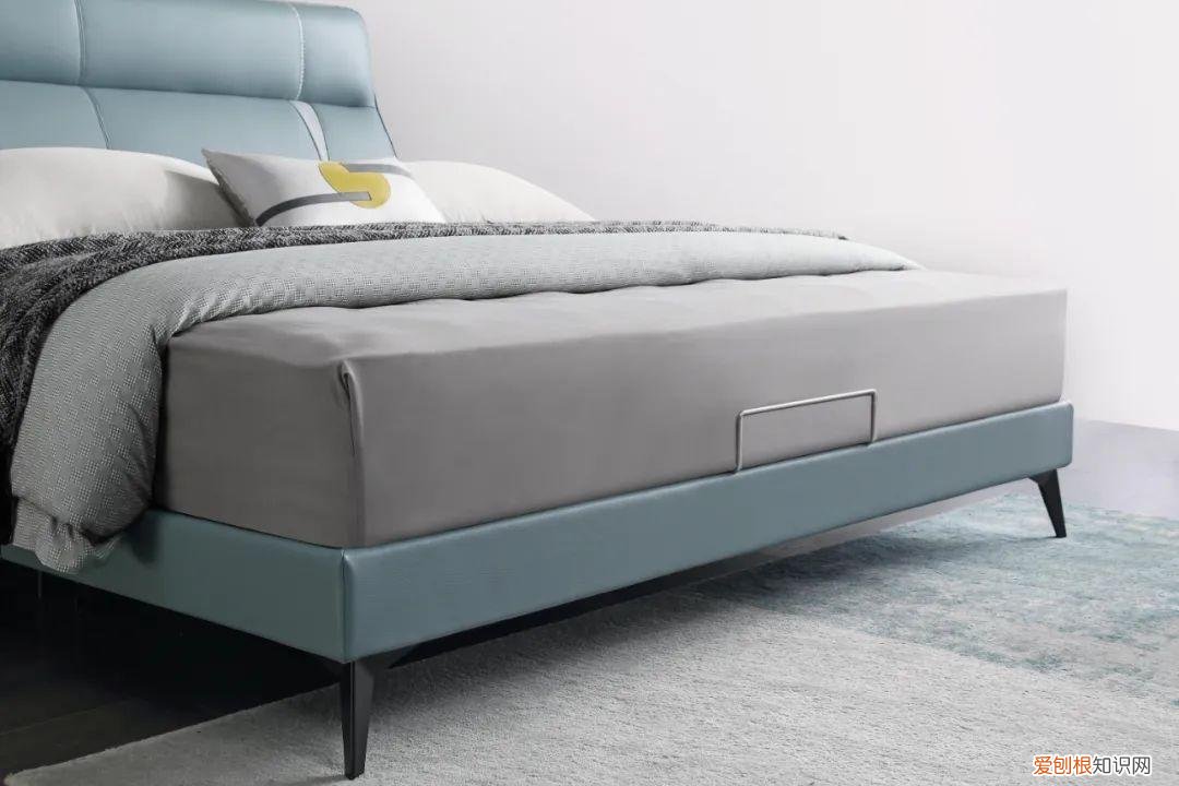 梦中情猫原抖音视频？