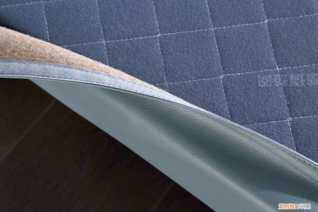 梦中情猫原抖音视频？