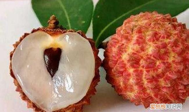 荔枝种类怎么区分，状元红荔枝跟普通什么区别