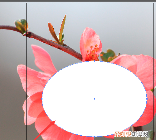 ai需要咋地才可以裁剪，ai怎么把图像裁剪成圆形