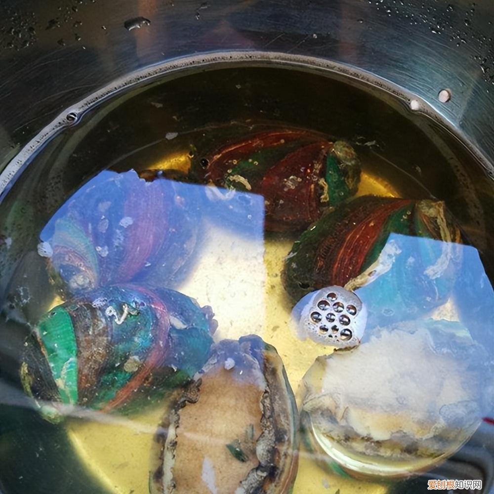 鲜活鲍鱼的清洗方法和做法