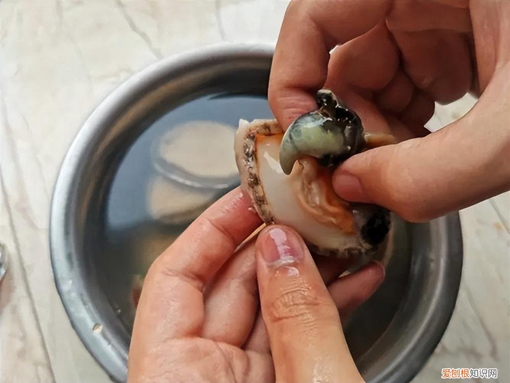 鲜活鲍鱼的清洗方法和做法