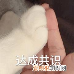 “双十一”绝不能在骗子身上买“教训”！这份攻略请收好