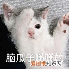 “双十一”绝不能在骗子身上买“教训”！这份攻略请收好