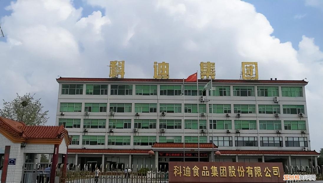 科迪乳业，再难“团圆”