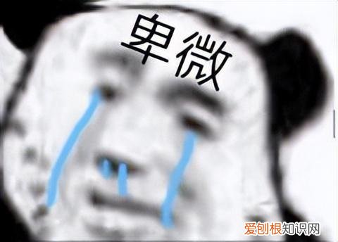 2023年飞机杯大盘点！