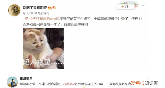 母胎solo的爱情观