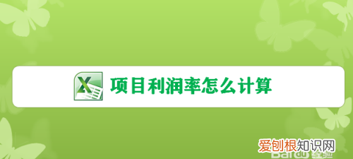 excel利润率计算公式，excel表格中的平均利润怎么算