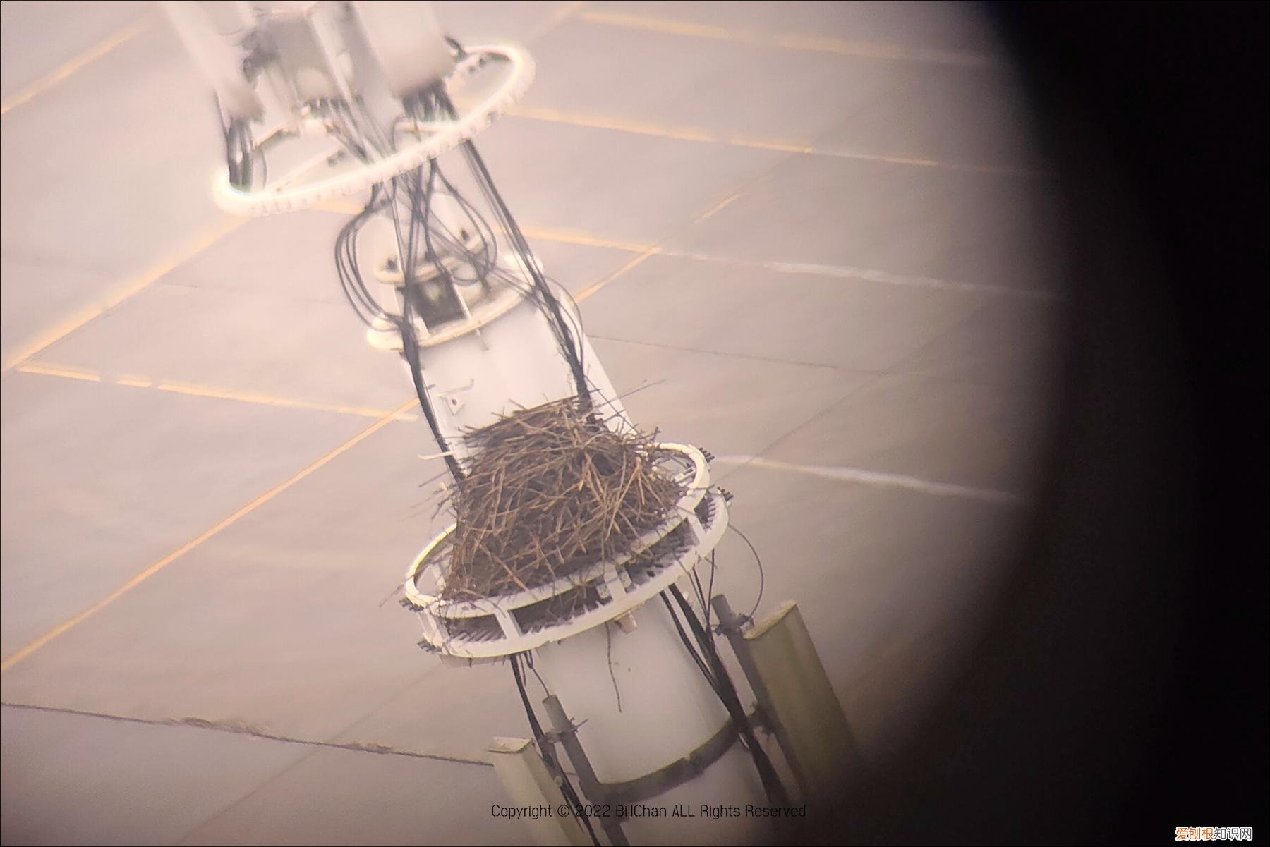 星特朗SCTW-80天文望远镜评测