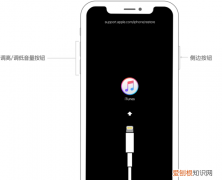 如何解决403错误，iphone5s恢复错误4013