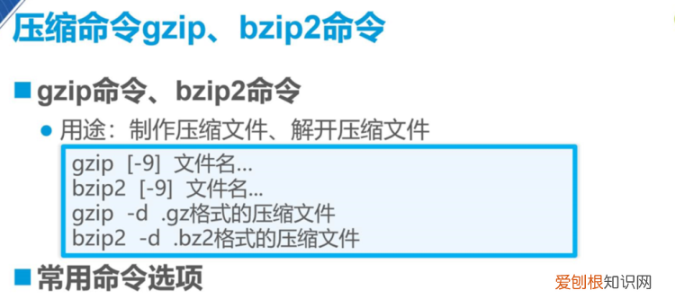 vi命令怎么编辑文件和保存，上报数据模板怎么退出编辑模式