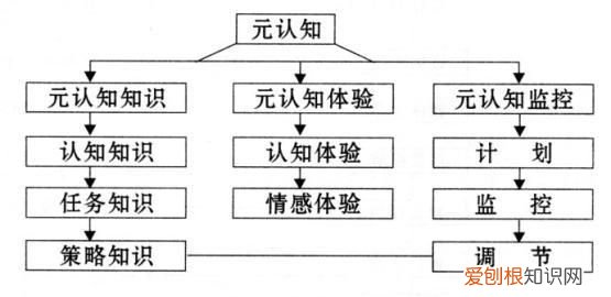 元认知系统运作主要包括哪些内容