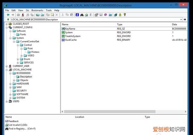 regfastsearch是什么软件