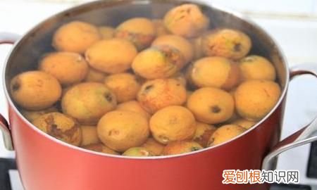枇杷酱的做法，如何制作枇杷酱