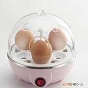 煮蛋器塑料加热有毒吗，煮蛋器的熟料盖及塑料托盘有毒