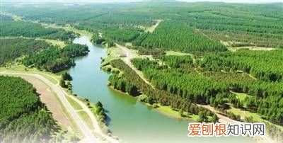 一分钟可以干些什么事情?,华春莹回答提问