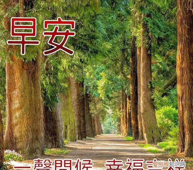 周末祝福语祝你周末愉快 周末问候语祝福图片