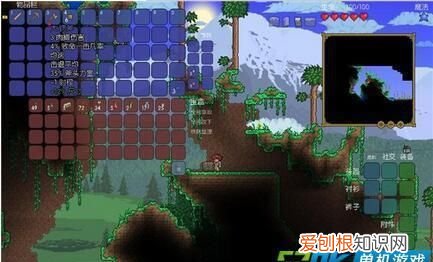 泰拉瑞亚手机版有雏翼吗