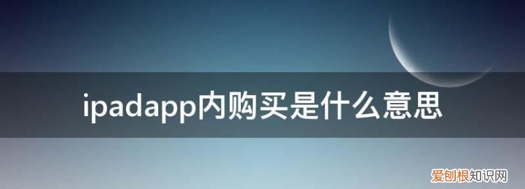 app内购买什么意思,app购买的项目怎么退