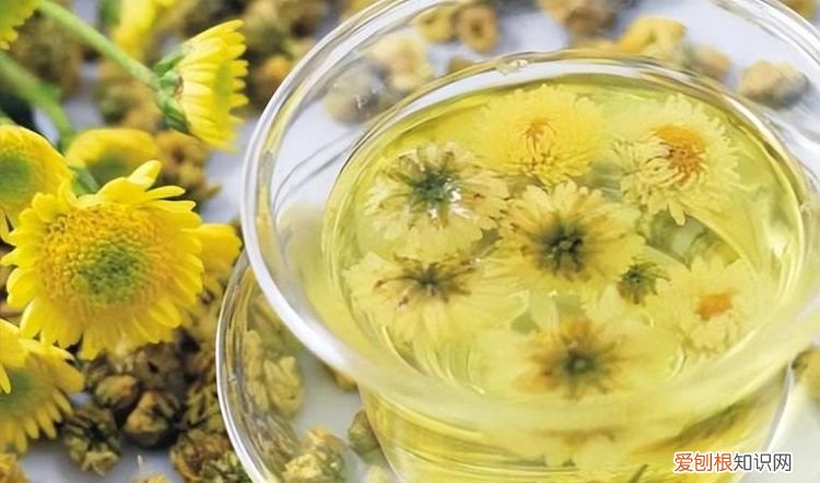 隔夜菊花茶能喝吗,泡的隔夜菊花茶还能喝