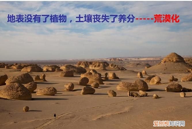土地沙漠化有何危害,土地沙漠化算不算自然灾害
