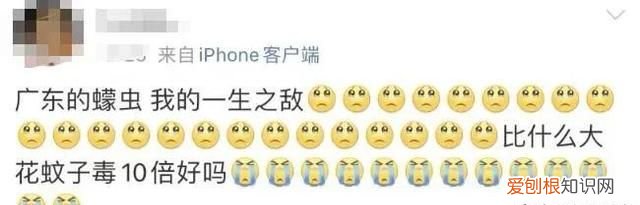 蠓虫叮咬奇痒无比怎么止痒 广东蠓虫咬人太痒了