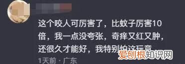 蠓虫叮咬奇痒无比怎么止痒 广东蠓虫咬人太痒了