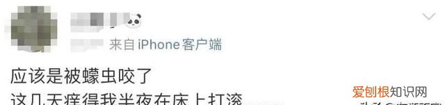 蠓虫叮咬奇痒无比怎么止痒 广东蠓虫咬人太痒了