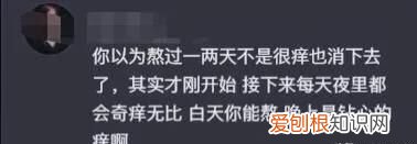 蠓虫叮咬奇痒无比怎么止痒 广东蠓虫咬人太痒了