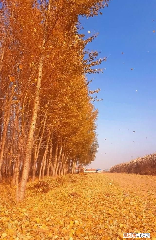 天气预报今天白露天晴有什么预兆