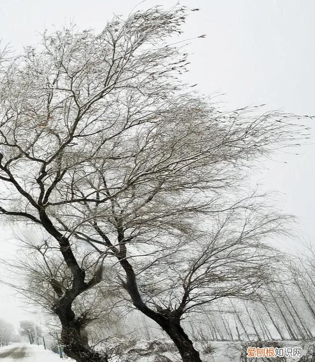 天气预报今天白露天晴有什么预兆