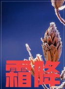 天气预报今天白露天晴有什么预兆
