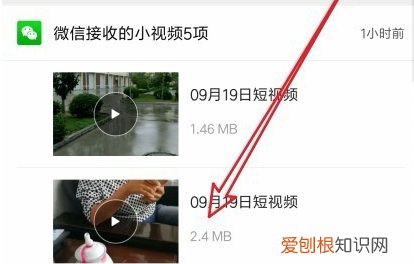 手机本地文件夹在哪里，手机文件管理在哪里打开