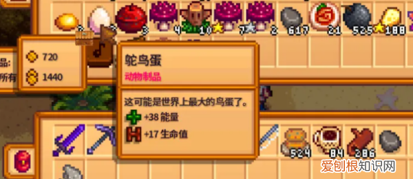 星露谷物语鸡蛋怎么孵化，星露谷物语最新版下载1.6