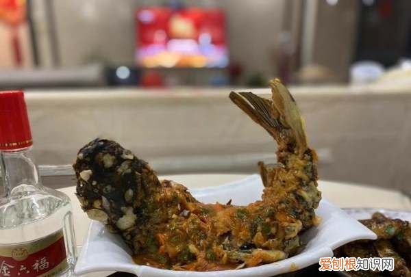 过春节时鱼的做法,过年的炸鲜鱼怎么做