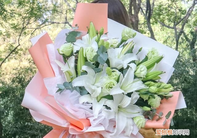 老婆生日送百合几朵